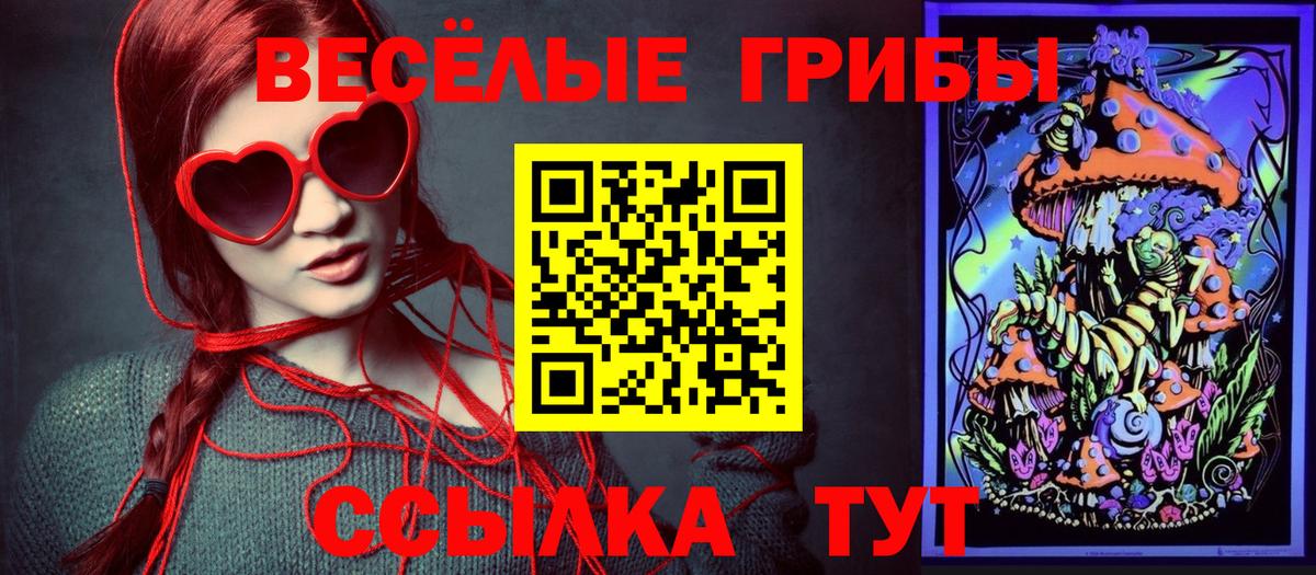 Псилоцибиновые грибы мухоморы Алейск