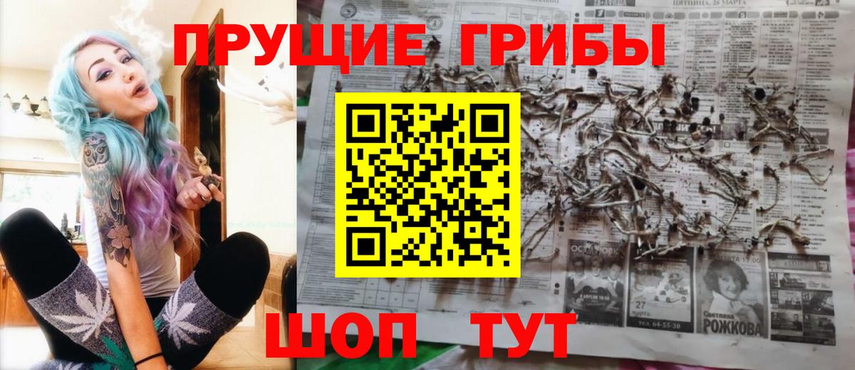 Псилоцибиновые грибы Psilocybine cubensis  Вход с VPN  Алейск 