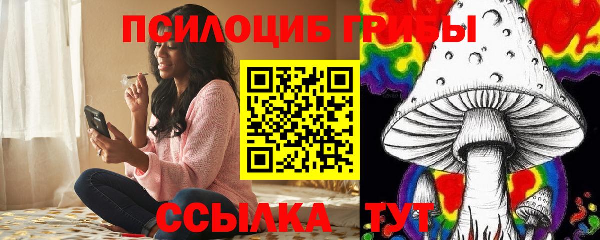 Псилоцибиновые грибы Алейск